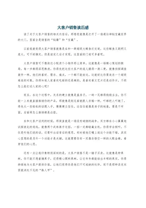 大客户销售读后感