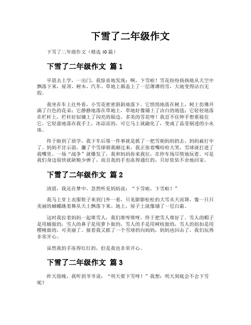 下雪了二年级作文