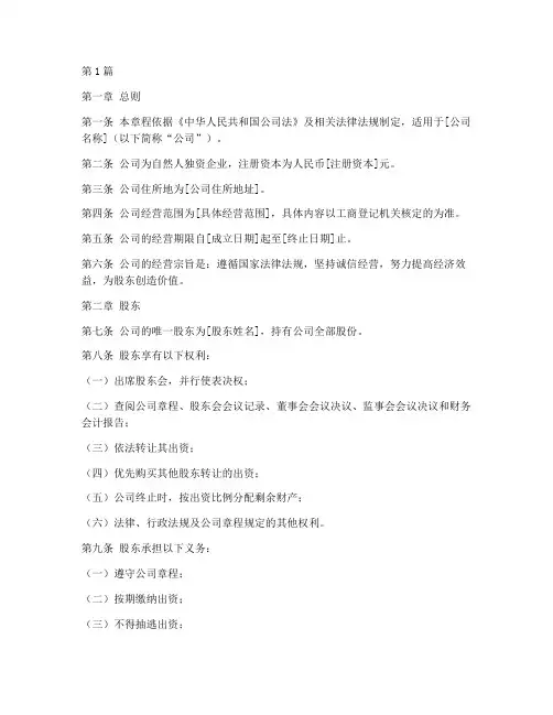 自然人独资的公司章程(3篇)