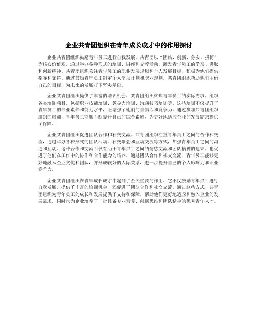 企业共青团组织在青年成长成才中的作用探讨
