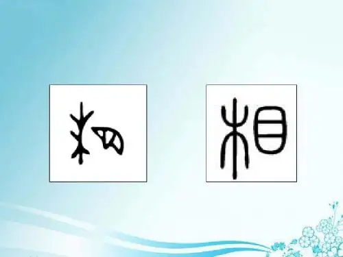 君权与相权