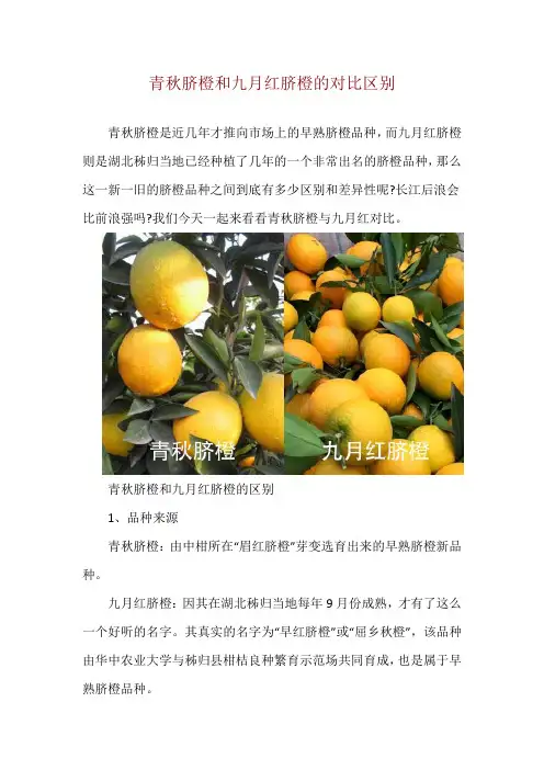 青秋脐橙和九月红脐橙的对比区别