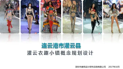 连云港市灌云县衣趣小镇概念规划设计20171015-调整