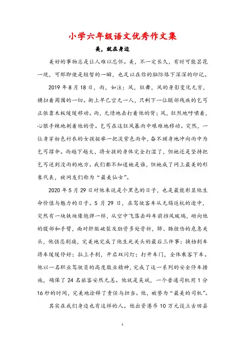 【优秀作文集】小学六年级语文优秀作文集