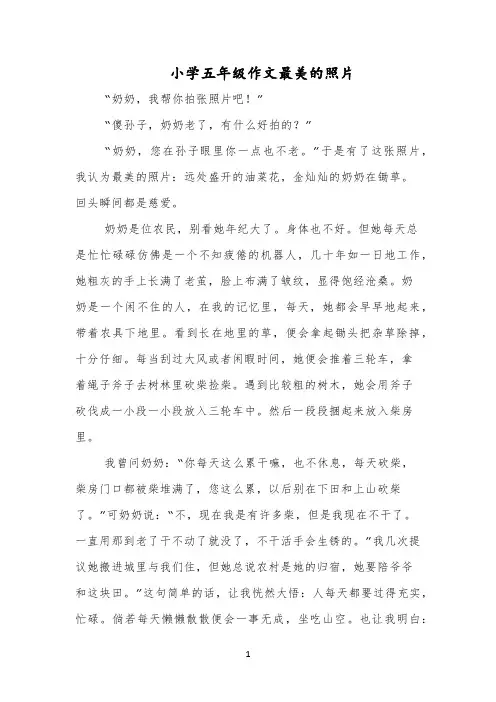 小学五年级作文最美的照片