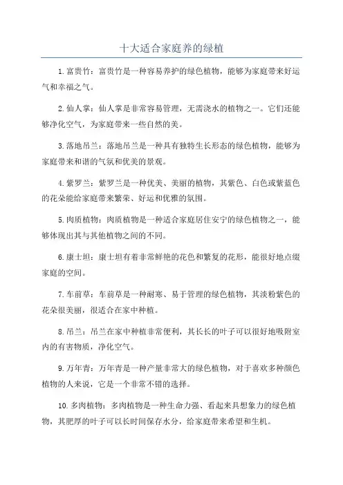 十大适合家庭养的绿植