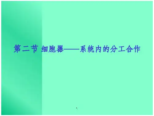 植物细胞结构图