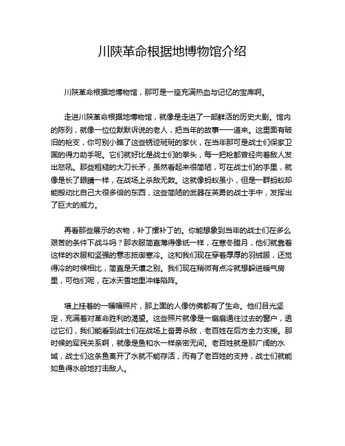 川陕革命根据地博物馆介绍