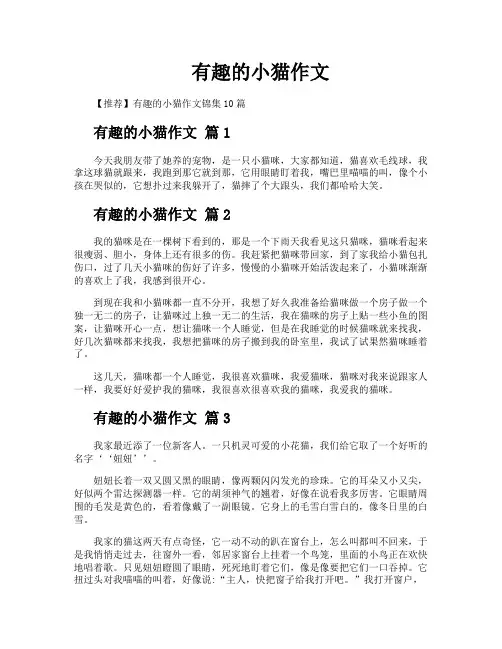 有趣的小猫作文