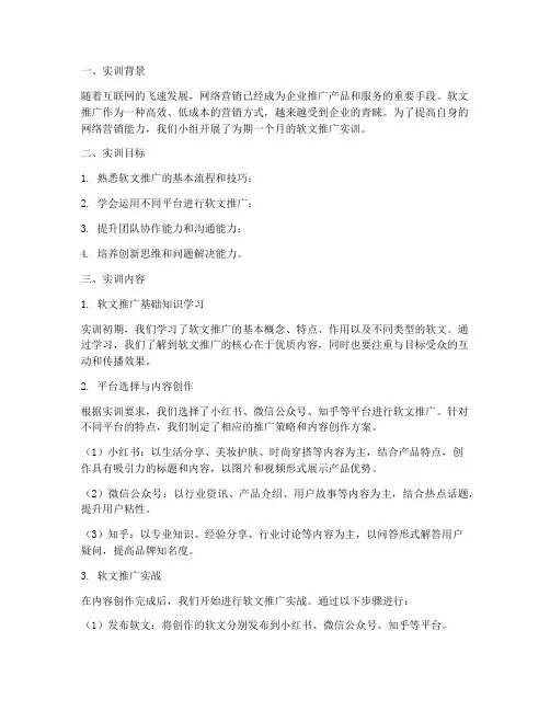 软文推广实训报告