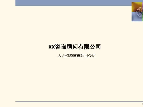 咨询顾问公司人力资源管理项目介绍