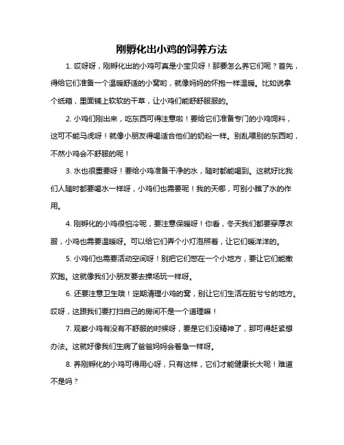 刚孵化出小鸡的饲养方法