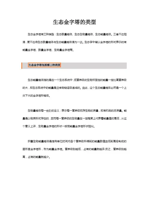 生态金字塔的类型