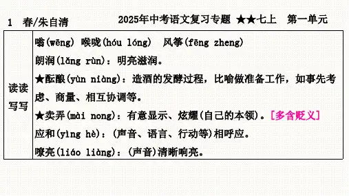 2025年中考语文字音、字形、词语+七上复习专题课件