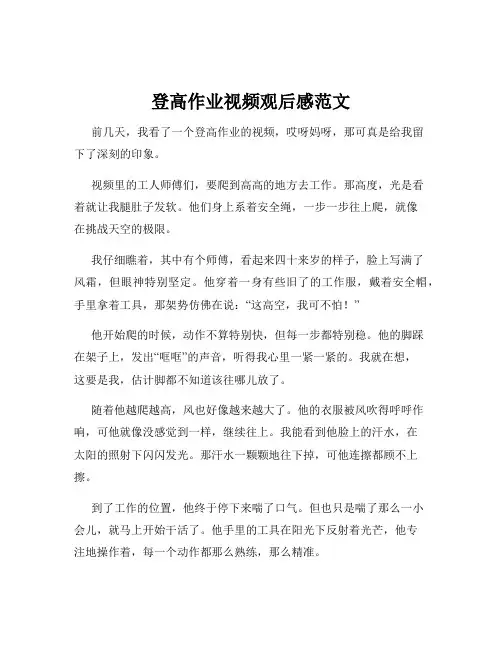 登高作业视频观后感范文