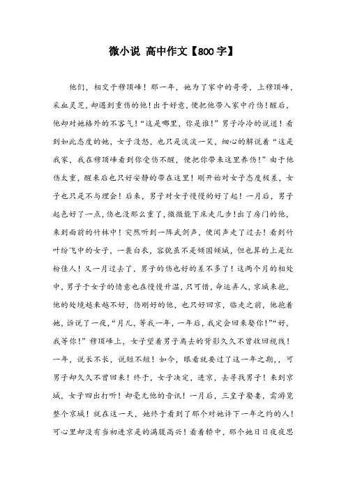 微小说 高中作文【800字】