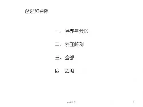 盆部和会阴  ppt课件