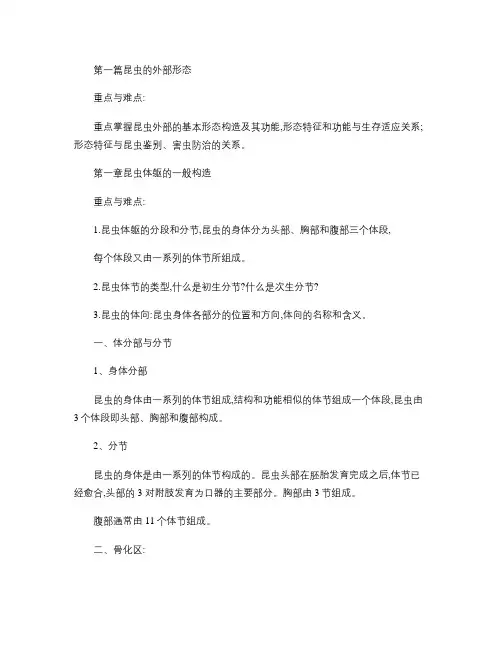 第一篇昆虫的外部形态_普通昆虫学