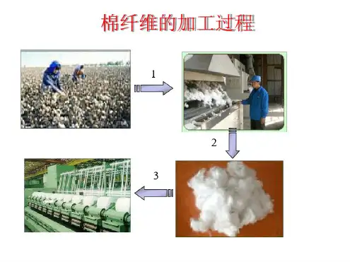 完整版常用纺织纤维的结构和主要性能