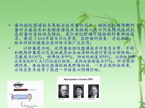 蛋白指纹图谱(共24张PPT)