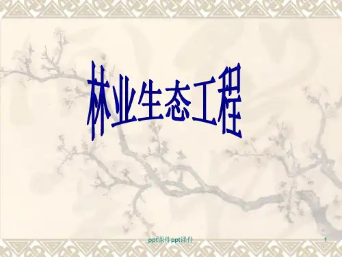 林业生态工程ppt课件