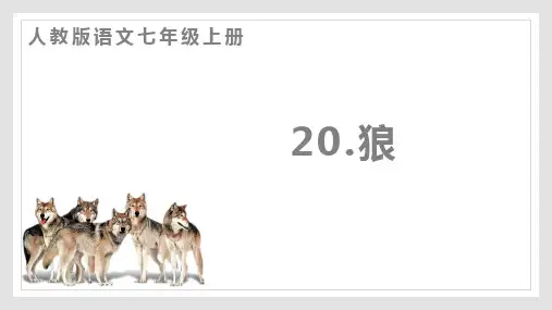 第20课《狼》课件精品