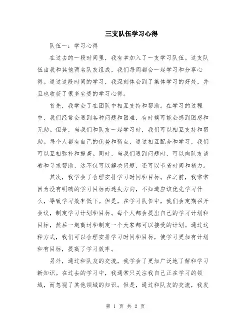 三支队伍学习心得