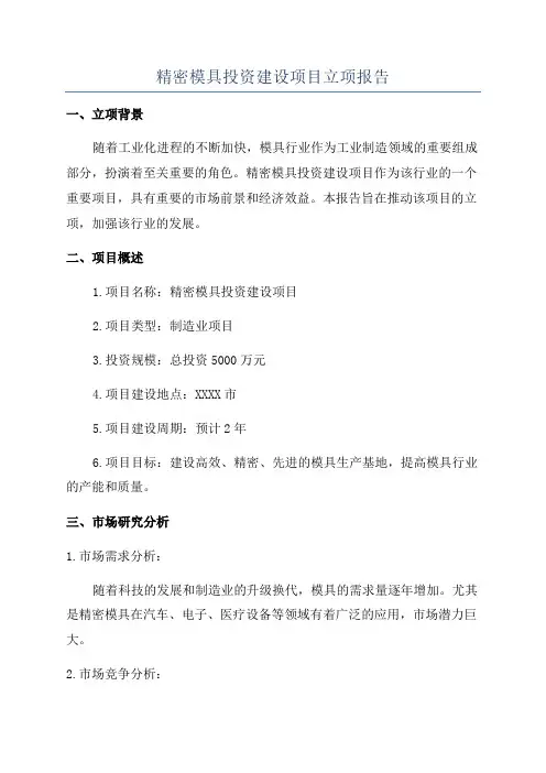 精密模具投资建设项目立项报告