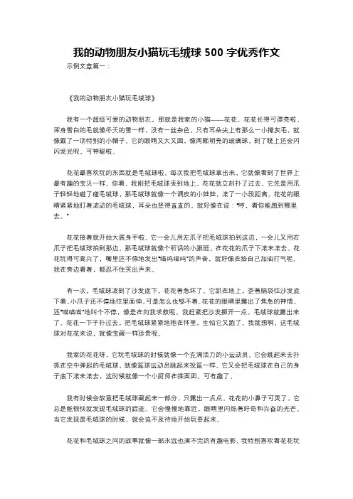 我的动物朋友小猫玩毛绒球500字优秀作文