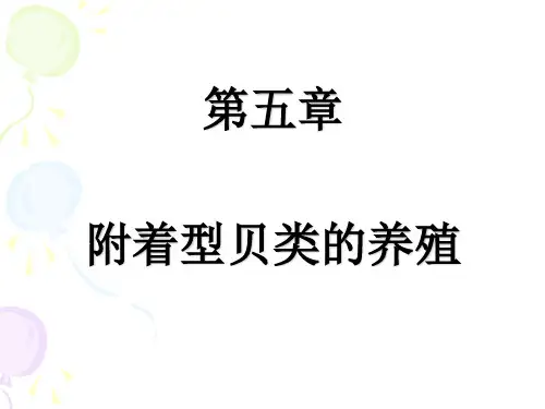 第五章 附着型贝类的养殖