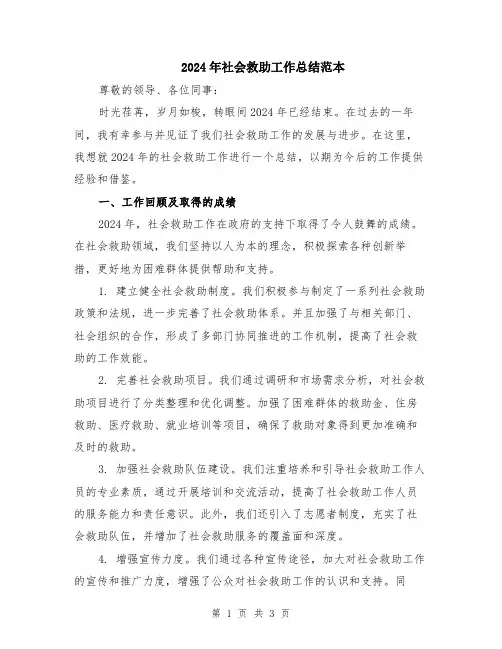 2024年社会救助工作总结范本