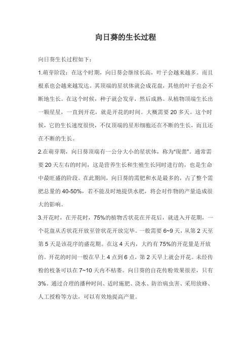 向日葵的生长过程