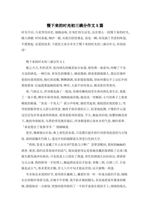 慢下来的时光初三满分作文5篇