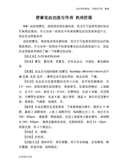 密蒙花的功效与作用 药用价值