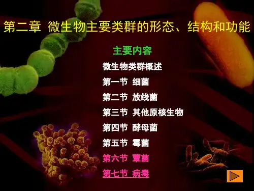 第二三四章微生物的类群