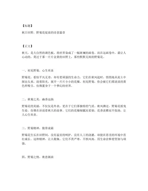 秋天野菊花走心文案图片