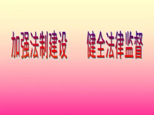八年级政治建设社会主义法治国家2