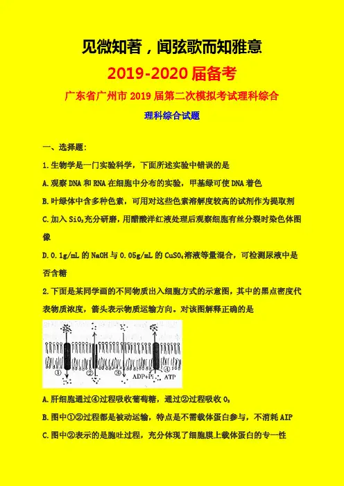 2019-2020年广东省广州市二模：广州市2019届高三第二次模拟考试理科综合试题-附详细答案