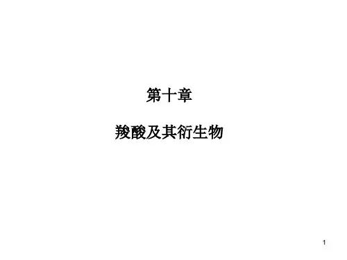 大学有机化学下学期复习题