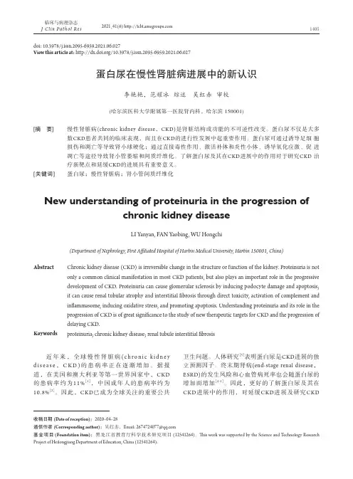 蛋白尿在慢性肾脏病进展中的新认识
