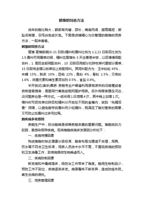鹅雏的饲养方法