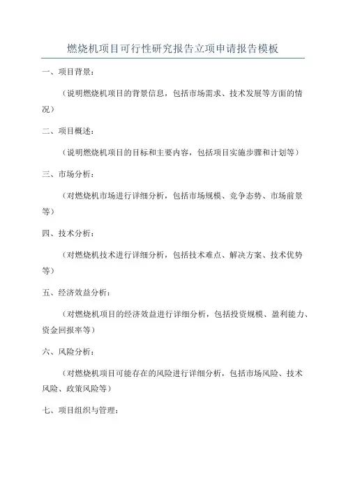 燃烧机项目可行性研究报告立项申请报告模板