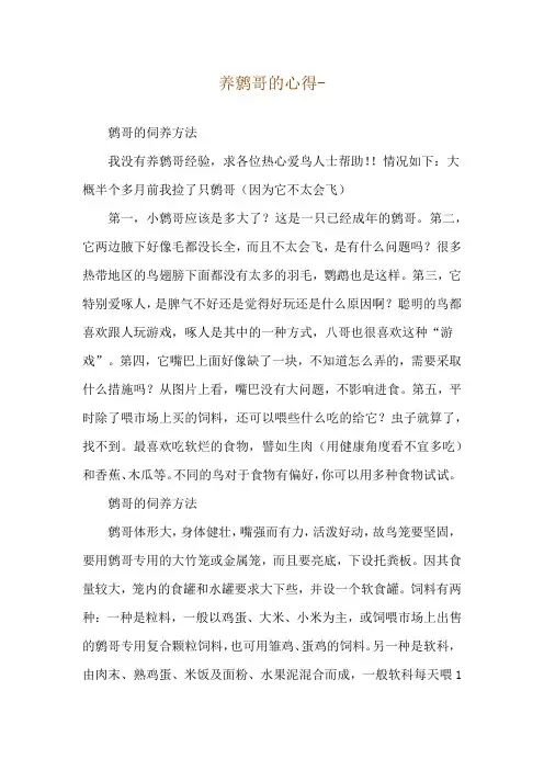 养鹩哥的心得--鹩哥的伺养方法