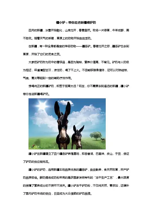 疆小驴·驴欢歌-驴奶：带你走近新疆喝驴奶