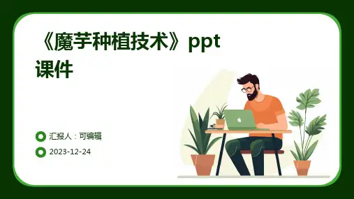 《魔芋种植技术》PPT课件