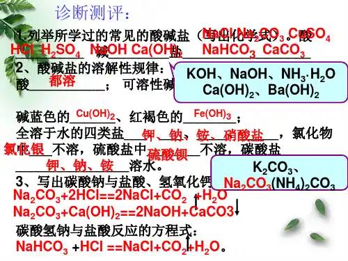 人教版九年级化学下册第11单元复习课件2盐的化学性质与复分解反应(共43张PPT)