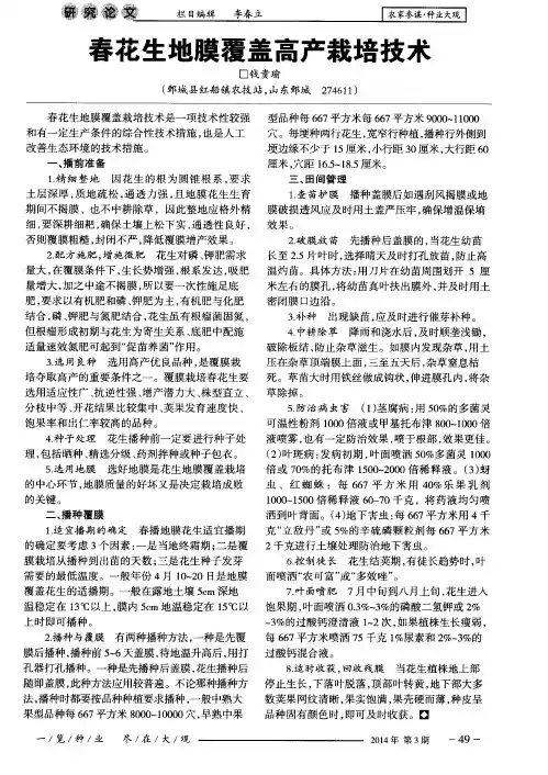 春花生地膜覆盖高产栽培技术