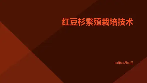 红豆杉繁殖栽培技术