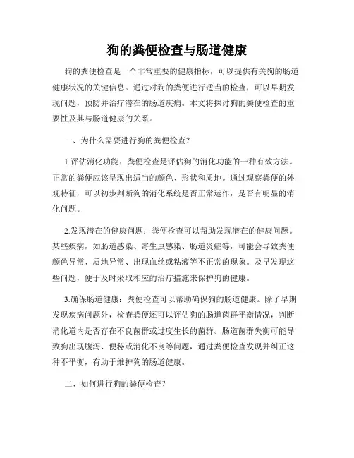 狗的粪便检查与肠道健康