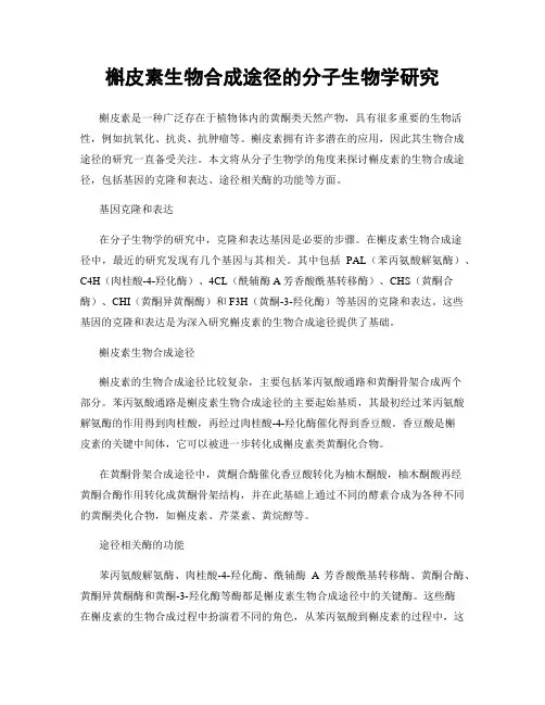 槲皮素生物合成途径的分子生物学研究